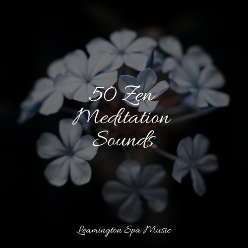 Sleep Music cover art