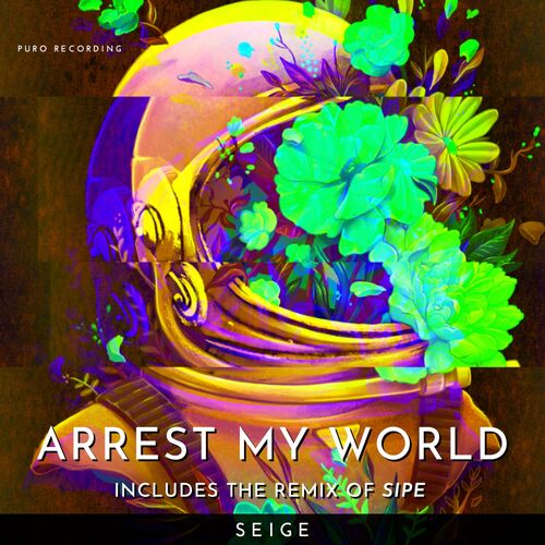 Arrest My World_poster_image