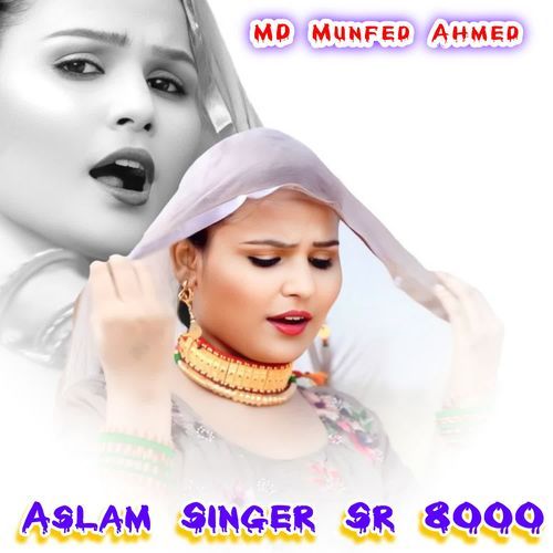 Aslam Singer Sr 8000