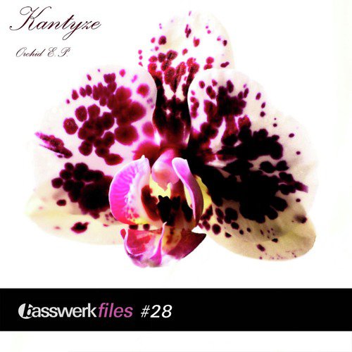 Basswerk Files #028 Orchid EP_poster_image