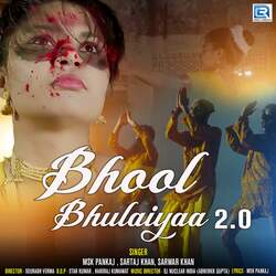 Bhool Bhulaiyaa 2.0-NVAfa014enQ