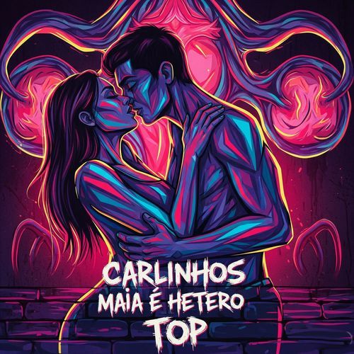 CARLINHOS MAIA É HETERO TOP cover art