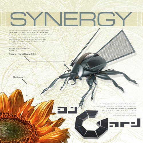 Neverending Misery (Luca De Maas Vs Dj Gard Rmx) cover art