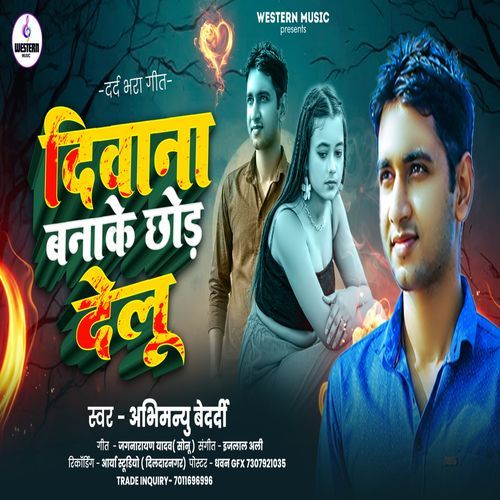 Deewana Banake Chhod Delu