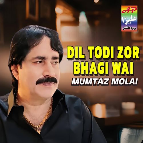 Dil Todi Zor Bhagi Wai