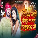 Dilwa Nahi Demhi Ta Mar Jaibu Ge