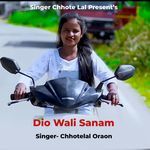 Dio Wali Sanam artwork