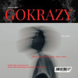 Gokrazy-CAEMZxlJXWs