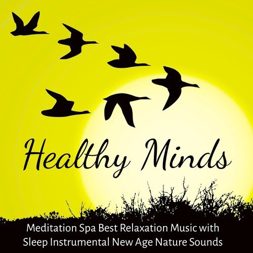 Spa Music Café Club cover art