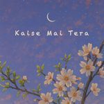 Kaise Mai Tera