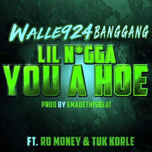 Lil Nigga You A Hoe cover art