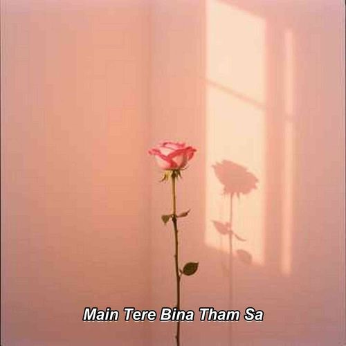 Main Tere Bina Tham Sa