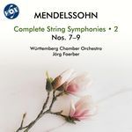 String Symphony No. 7 in D Minor, MWV N 7: I. Allegro