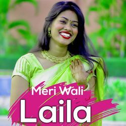 Meri Wali Laila-PgdbUlllc38