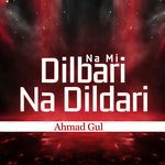 Na Mi Dilbari Na Dildari