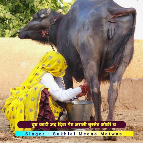 दुध काडी जद दिख पेट जरासी बुरसेट ओछी च