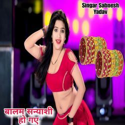 बालम सन्याशी हो गए