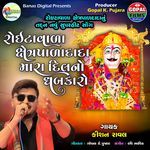 Roytawala Shetrapaldada Mara Dilno Dhabakaro