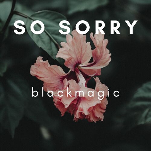 So Sorry_poster_image