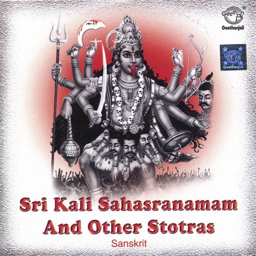 Sri Kali Sahasranamam and Other Stotras_poster_image