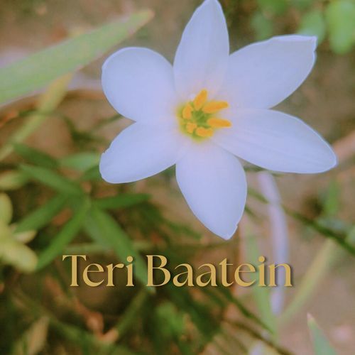 Teri Baatein
