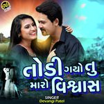 Todi Gayo Tu Maro Vishwash