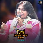 Tumi jokhon bajao bashi