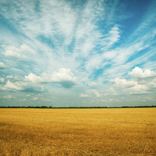 100 Content Sounds for Meditation