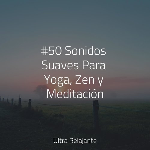 #50 Sonidos Suaves Para Yoga, Zen y Meditación