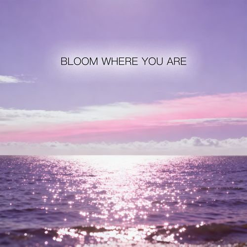 Where Our Stars Meet cover art