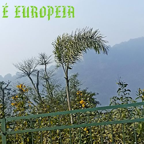 É EUROPEIA