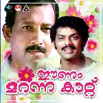 Ponnum Therilennum, Pt. 2