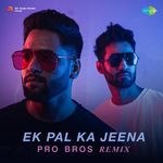 Ek Pal Ka Jeena - Pro Bros Remix artwork