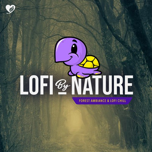 Forest Ambiance & Lofi Chill_poster_image