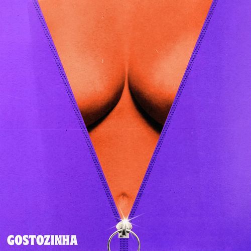 Gostozinha_poster_image