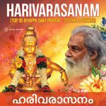 Harivarasanam