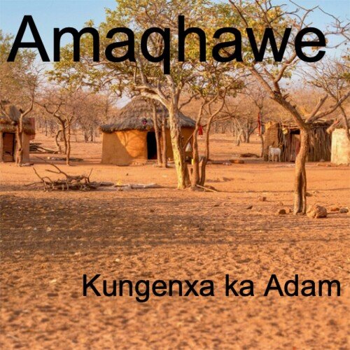 Kungenxa Ka Adam_poster_image