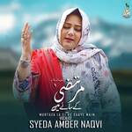 Murtaza (A.S) Ke Saaye Main