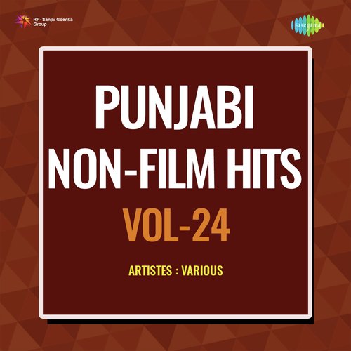 Punjabi Non - Film Hits Vol - 24