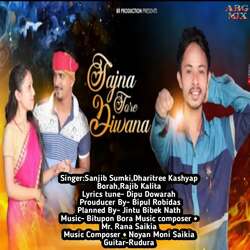 Sajna Tore Diwana-SDIFUC1UB2U