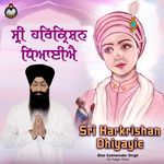 Sri Harkrishan Dhiyayie artwork