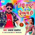 Teri Surat Ko Jab Dekhta Hu