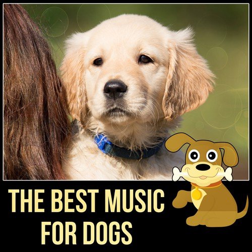 Purr, Purr - Song Download from The Best Music for Dogs – Happy Animal, New  Age Music for Puppy & Kitty, Music for Cats to Calm Down, Relaxing Music  for Your Pet,