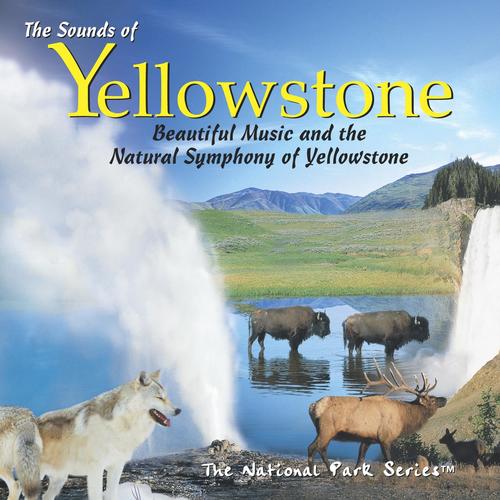 The Sounds of Yellowstone: Beautiful Music & the Natural Symphony of Yellowstone