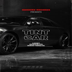 Tint Car