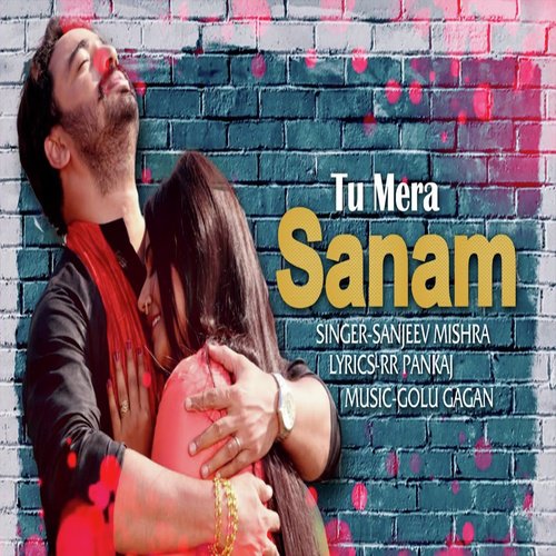 Tu Mera Sanam