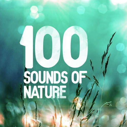 100 Sounds of Nature