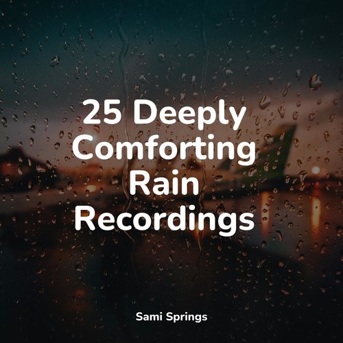 25 Deeply Comforting Rain Recordings