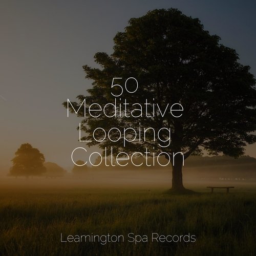 50 Meditative Looping Collection