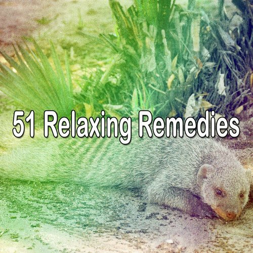 51 Relaxing Remedies